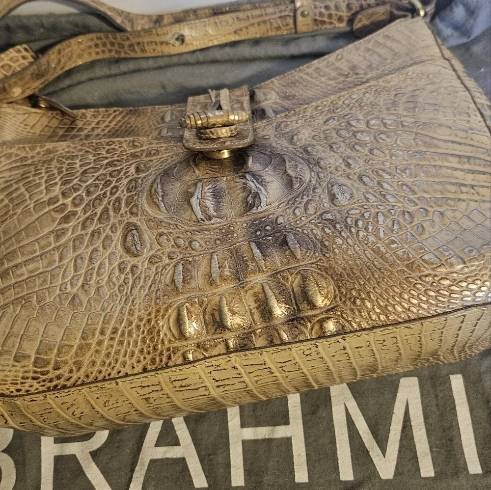 Brahmin elegant convertible
